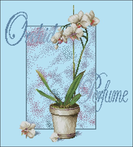 DMC BK243 Orchid Perfume