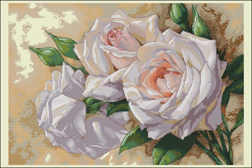 White Roses