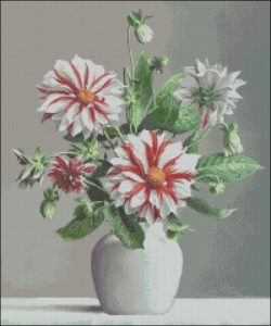 Георгины Георгины