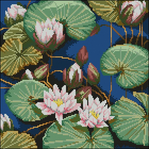 Water Lilies on Blue Water