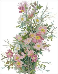 Wild Roses Wild Roses