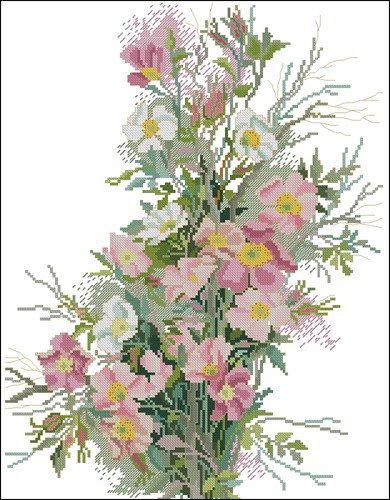 Wild Roses