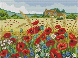 Poppy Field Poppy Field