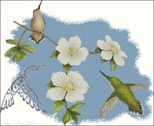 Dogwood and Hummingbird by Sue Coleman Dogwood and Hummingbird by Sue Coleman