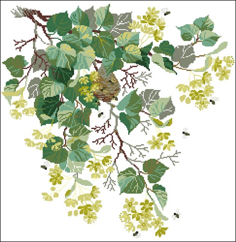 Linden Blossom