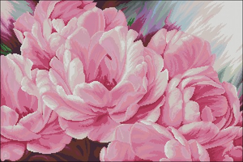 Pink peonies