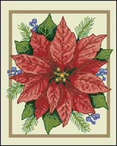 Poinsettia Elegance Poinsettia Elegance