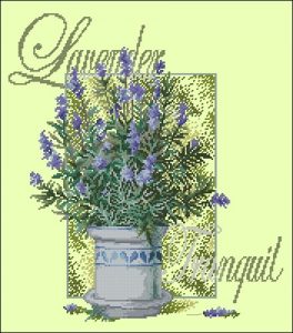 DMC BK242 Lavender Tranquil DMC BK242 Lavender Tranquil