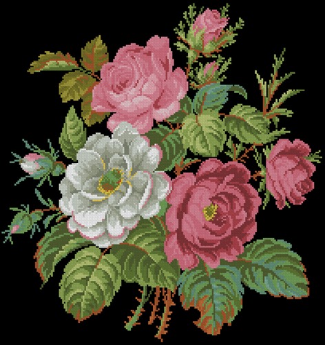 Rose e camelie
