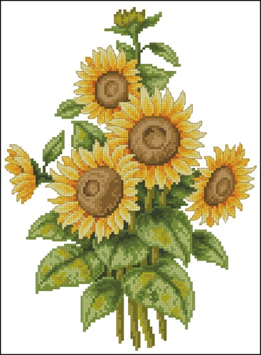 Sun Flower