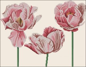 Hearts of Tulips Hearts of Tulips