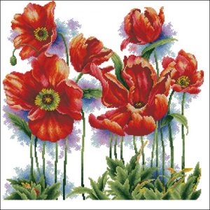 Lovely Poppys Lovely Poppys