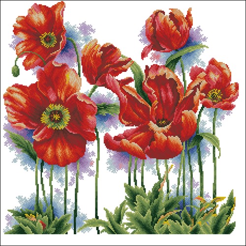 Lovely Red Poppies