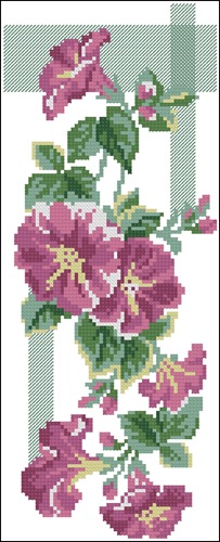 Pink Mallow Flowers