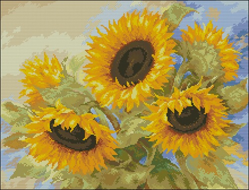 Golden Sunflowers in Bloom