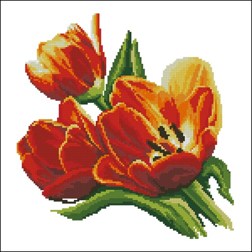 Bouquet of Tulips
