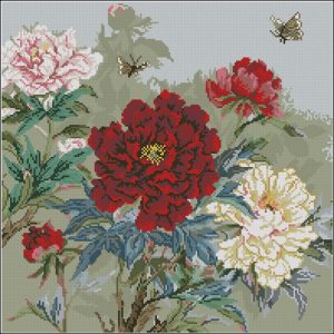 Oriental Peony Oriental Peony