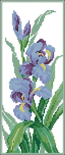 Iris Stems with Green Leaves