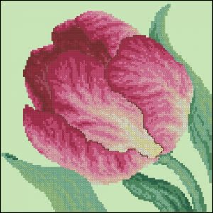 Floral fancy (Tulip) Floral fancy (Tulip)