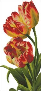 Тюльпаны (Tulips) Тюльпаны (Tulips)