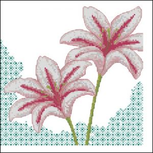 Pink Lilies with Border Pink Lilies with Border