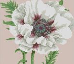 Precious petals Precious petals