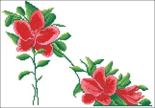 Two Red Hibiscus Blooms
