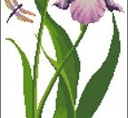 Ирис (Чарівна Мить) Ирис (Чарівна Мить)