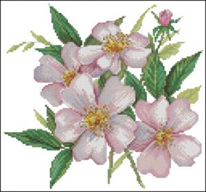 Light pink wild roses Light pink wild roses