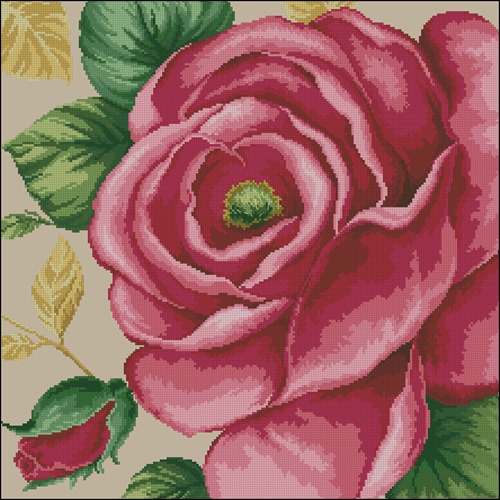 Rose Pink (DOME)