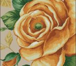 Rose Yellow (DOME) Rose Yellow (DOME)