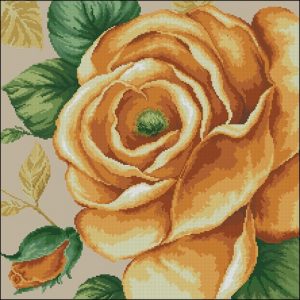 Rose Yellow (DOME)