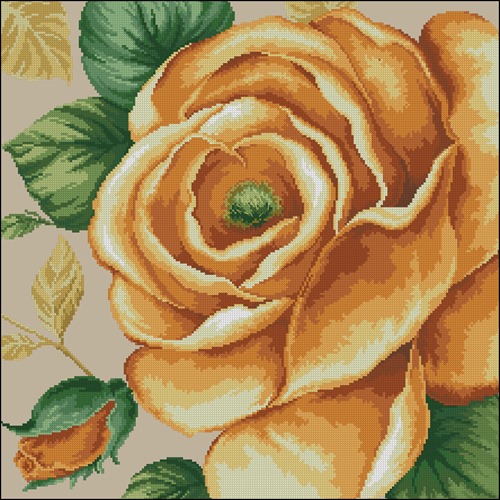 Rose Yellow (DOME)