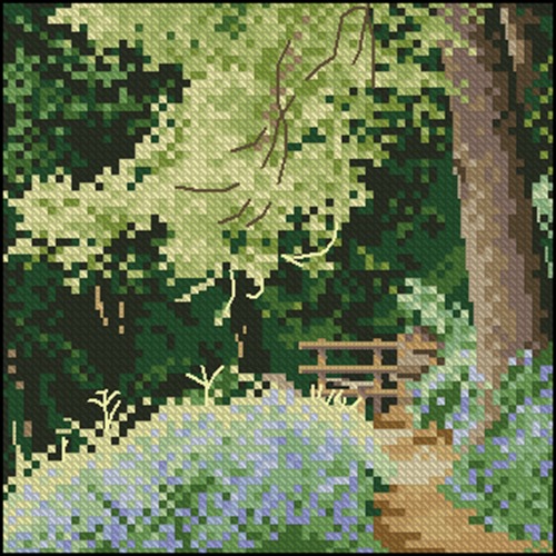Bluebell Wood