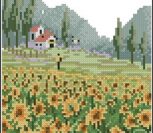 Flower Field 2 Flower Field 2