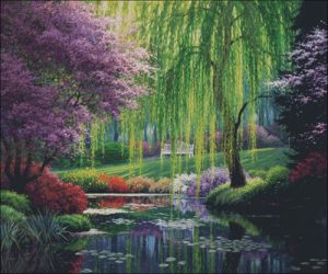 Willow Pond Willow Pond