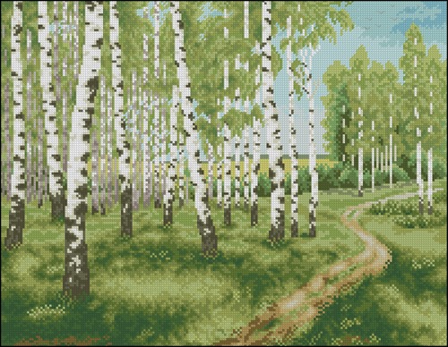 Белые березки