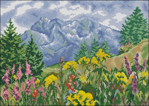 Mountain Meadow