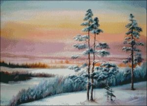 Winter Pines at Sunset