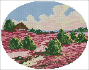 Blooming Heather Field Blooming Heather Field