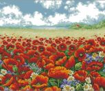 Wild Poppy Field Poppy Field