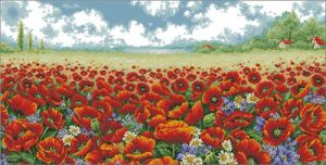 Wild Poppy Field Poppy Field
