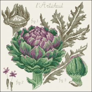 Etude Artichaut Etude Artichaut