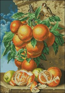 Апельсины и птичка Апельсины и птичка