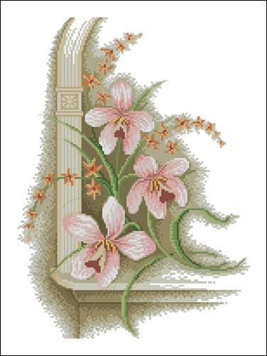 Orchids in the Corner