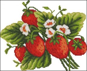 Домашняя клубника Домашняя клубника