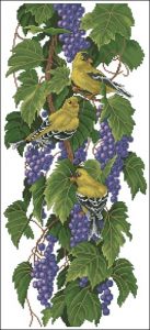 Vineyard Goldfinches Vineyard Goldfinches