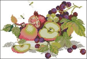 Apple Still Life Apple Still Life