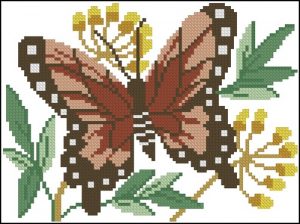 Butterfly Fantasy