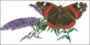 Бабочка-Buddleja